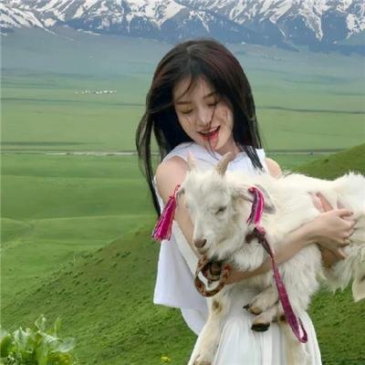 穿着旗袍的女孩 在线观看